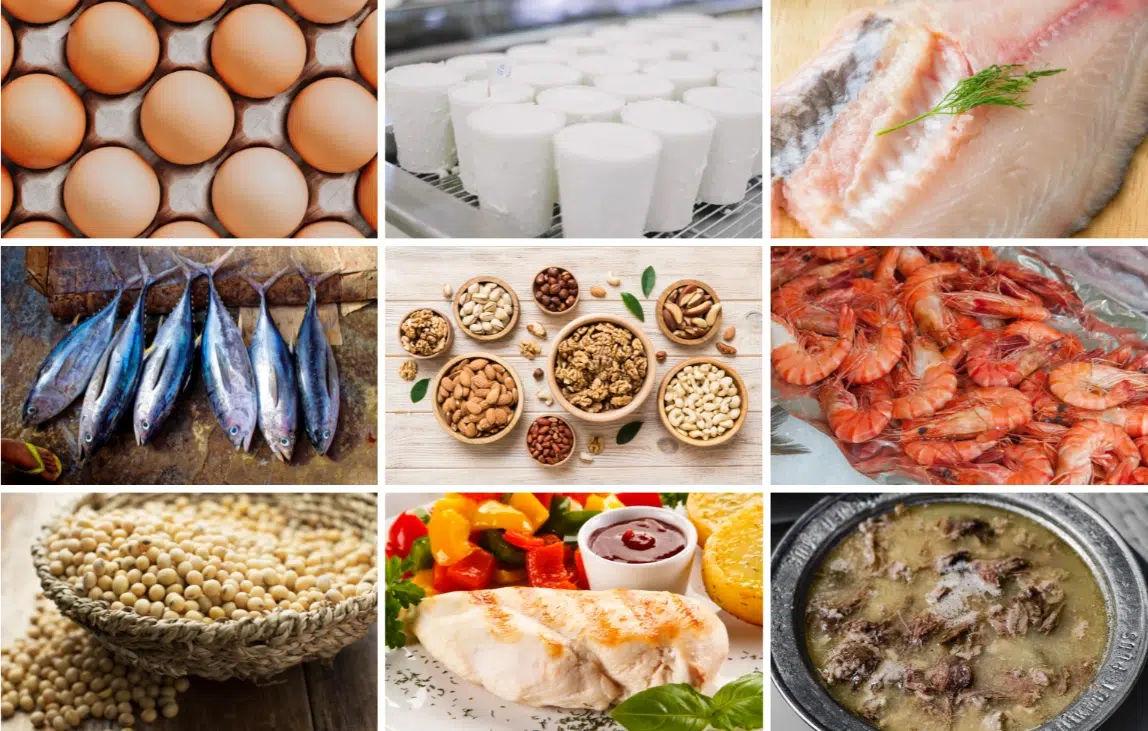 Źródła Białka: TOP 9 Produktów Wysokobiałkowych, które Pomogą Ci Uzupełnić Proteiny w Diecie